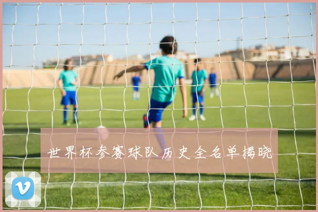 世界杯参赛球队历史全名单揭晓