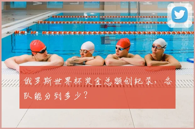俄罗斯世界杯奖金总额创纪录，各队能分到多少？