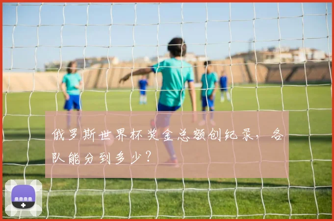 俄罗斯世界杯奖金总额创纪录，各队能分到多少？