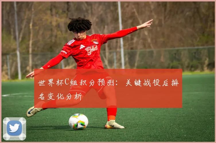 世界杯C组积分预测：关键战役后排名变化分析