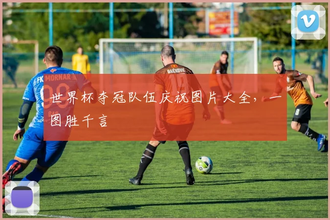 世界杯夺冠队伍庆祝图片大全,一图胜千言