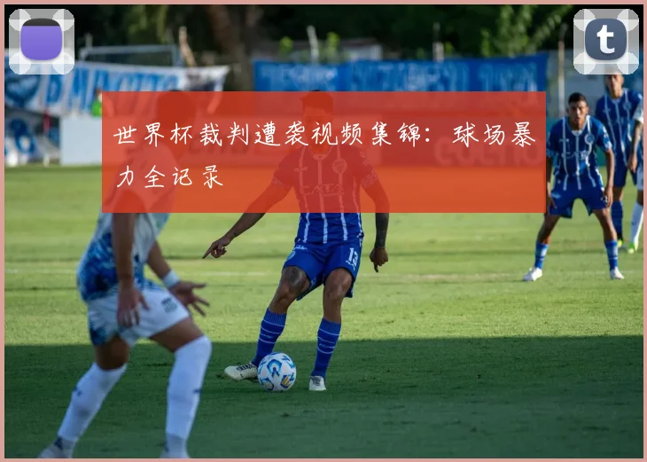 世界杯裁判遭袭视频集锦：球场暴力全记录
