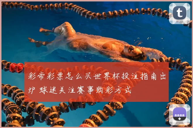 彩帝彩票怎么买世界杯投注指南出炉 球迷关注赛事购彩方式