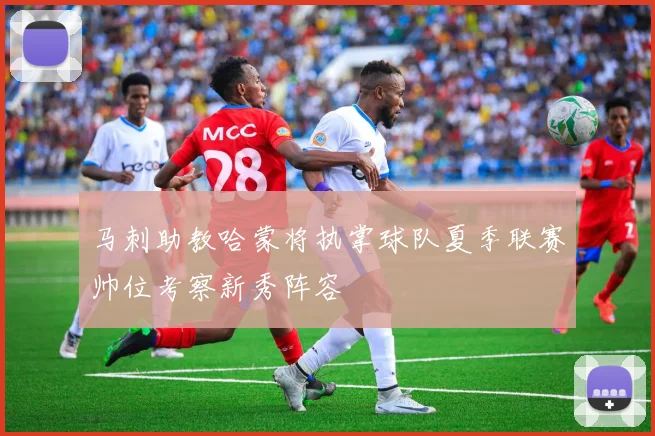 马刺助教哈蒙将执掌球队夏季联赛帅位考察新秀阵容