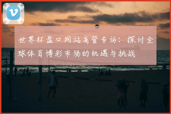 世界杯盘口网站高管专访：探讨全球体育博彩市场的机遇与挑战