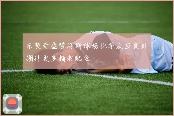 东契奇盛赞海斯球场化学反应良好期待更多精彩配合
