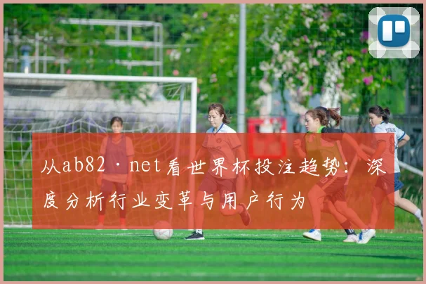 从ab82·net看世界杯投注趋势:深度分析行业变革与用户行为