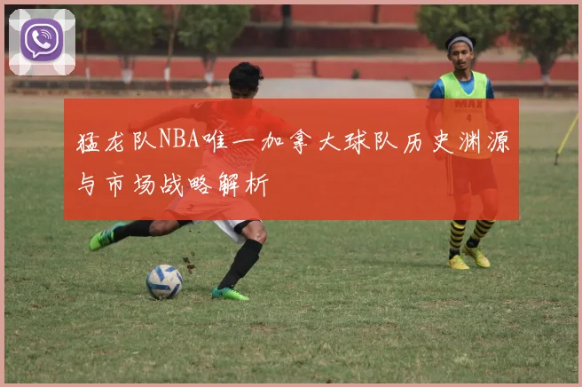 猛龙队NBA唯一加拿大球队历史渊源与市场战略解析