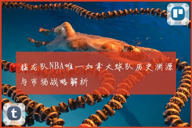猛龙队NBA唯一加拿大球队历史渊源与市场战略解析