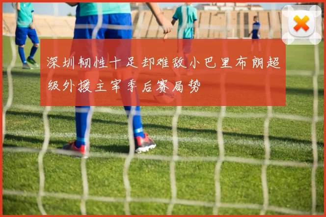 深圳韧性十足却难敌小巴里布朗超级外援主宰季后赛局势