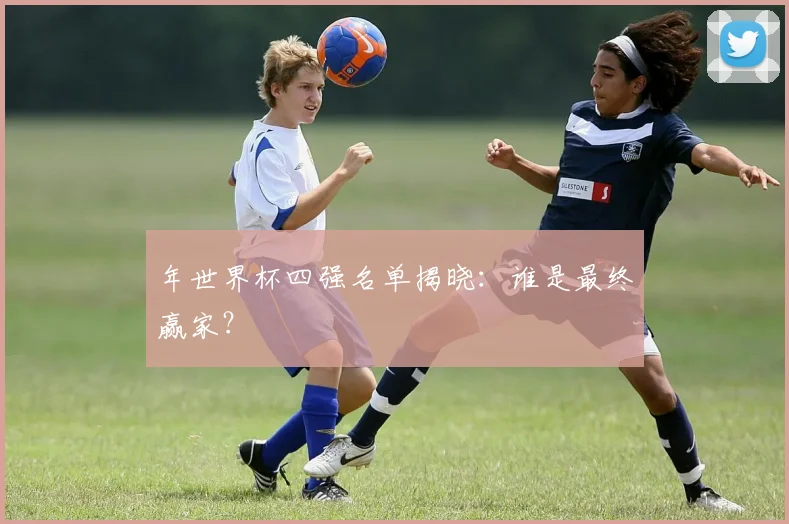 年世界杯四强名单揭晓：谁是最终赢家？