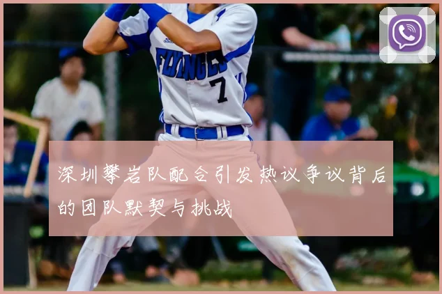 深圳攀岩队配合引发热议争议背后的团队默契与挑战
