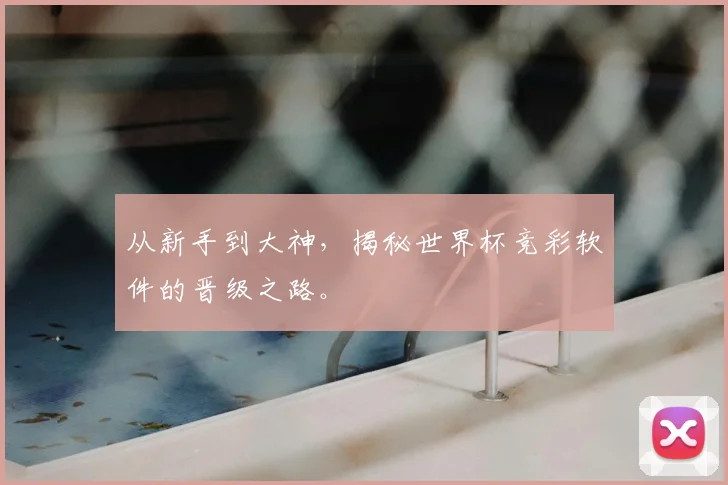 从新手到大神,揭秘世界杯竞彩软件的晋级之路。