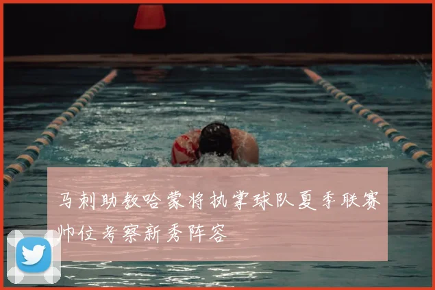 马刺助教哈蒙将执掌球队夏季联赛帅位考察新秀阵容