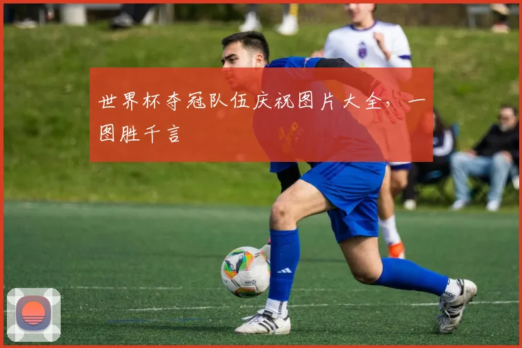 世界杯夺冠队伍庆祝图片大全，一图胜千言