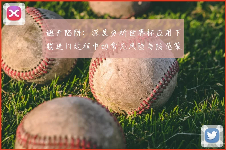 避开陷阱：深度分析世界杯应用下载进门过程中的常见风险与防范策略